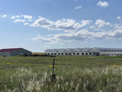 Yoder Farms And Greenhouses : Yoder : El Paso County : Colorado