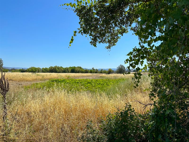 Price Reduction on Industrial Land : Oroville : Butte County : California