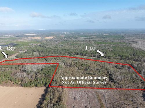 Chi-Highway Interchange Property : Live Oak : Suwannee County : Florida