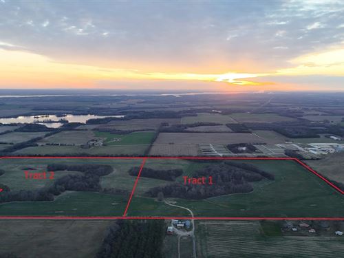 294 Acre Industrial, Commercial : Courtland : Lawrence County : Alabama