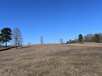 Esquire Development 3 : Mabelvale : Saline County : Arkansas