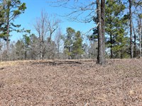 Esquire Development 5 : Mabelvale : Saline County : Arkansas