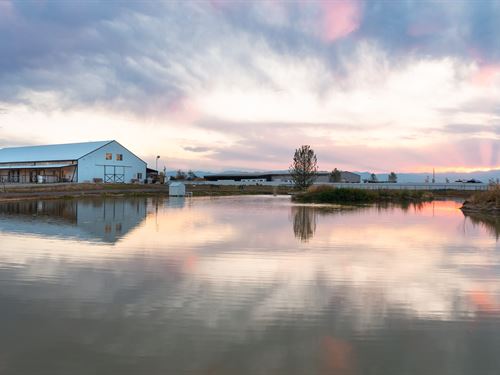 Horse Boarding/Training Petting Zoo : Erie : Weld County : Colorado