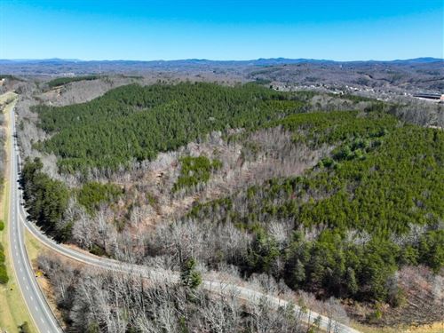 30.19 Acres of Multi-Use Land : Fieldale : Henry County : Virginia