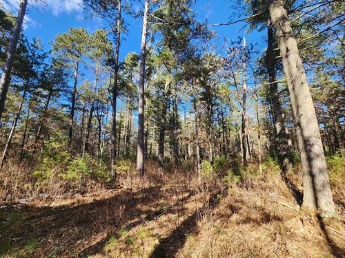 Saint Germain Wooded Parcel : Saint Germain : Vilas County : Wisconsin