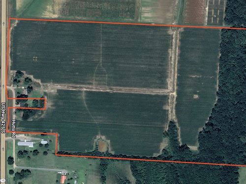 La, Franklin 80 Acres : Winnsboro : Franklin Parish : Louisiana