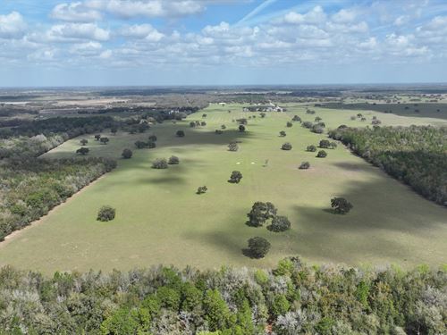 Mixed Use Development Heldon Ranch : Dunnellon : Marion County : Florida