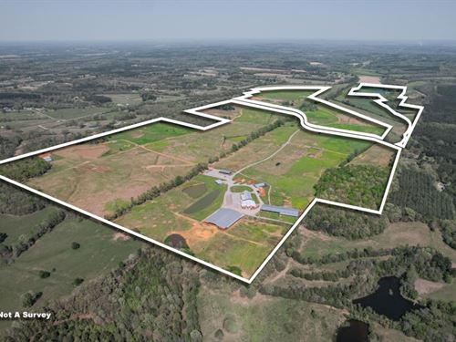 Tennessee Ranch & Wedding Venue : Mitchie : McNairy County : Tennessee