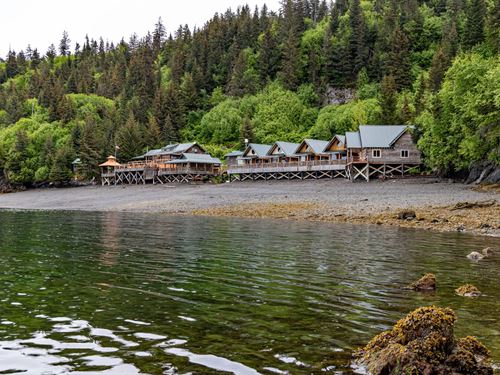 Cove Peaks Lodge, Alaska Wildernes : Homer : Kenai Peninsula Borough : Alaska