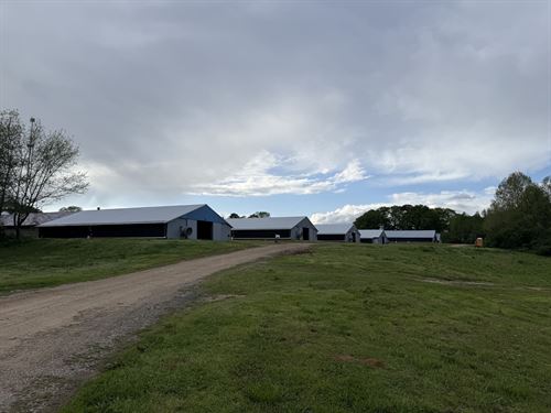 Nice 6 House Broiler Poultry Farm : Bowdon : Carroll County : Georgia