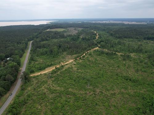 405 Acres In Grenada County, MS : Coffeeville : Grenada County : Mississippi