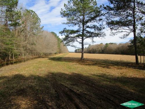 654 Ac, Pasture for Development : Sour Lake : Hardin County : Texas