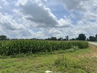 Incredible Opportunity : Hopkinsville : Christian County : Kentucky