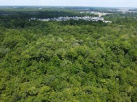 St. Marys Coastal Development : Saint Marys : Camden County : Georgia