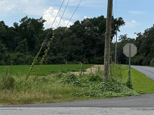 10 Acre Mixed Use Development : Dothan : Houston County : Alabama