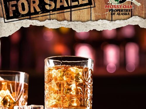 Exciting Opportunity to Elevate You : Kasilof : Kenai Peninsula Borough : Alaska