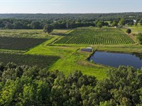 Beary-Licious Organic Blackberry Fa : Sherwood : Faulkner County : Arkansas