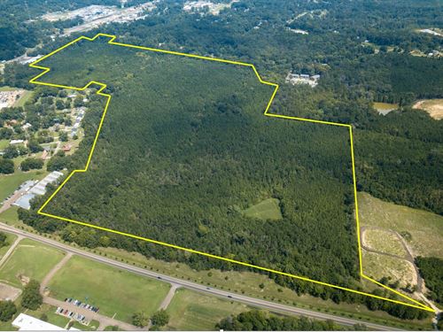 Scott County, 123.43 Acres : Morton : Scott County : Mississippi