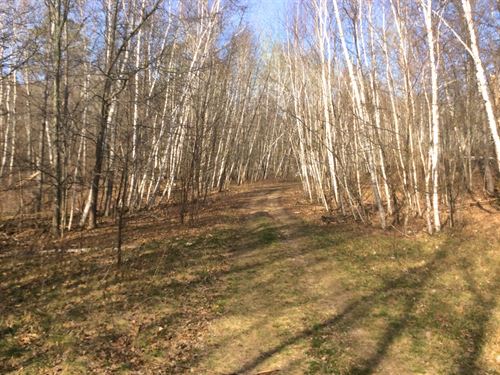 1.28 Ac Near Pelican Lake : Breezy Point : Crow Wing County : Minnesota
