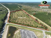 20.14 Ac GA Hwy 40 & Laurel Island : Kingsland : Camden County : Georgia