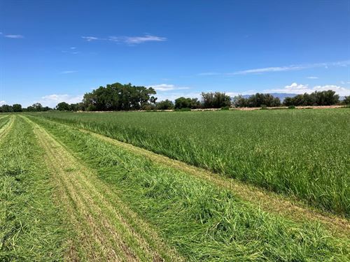 105 Zia Lane : Las Nutrias : Socorro County : New Mexico
