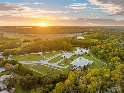 Serella Stables : Tarpon Springs : Pinellas County : Florida