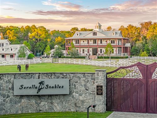 Serrella Stables : Tarpon Springs : Pinellas County : Florida