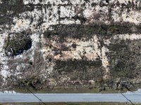 1 Acre in Dillon County SC : Lake View : Dillon County : South Carolina