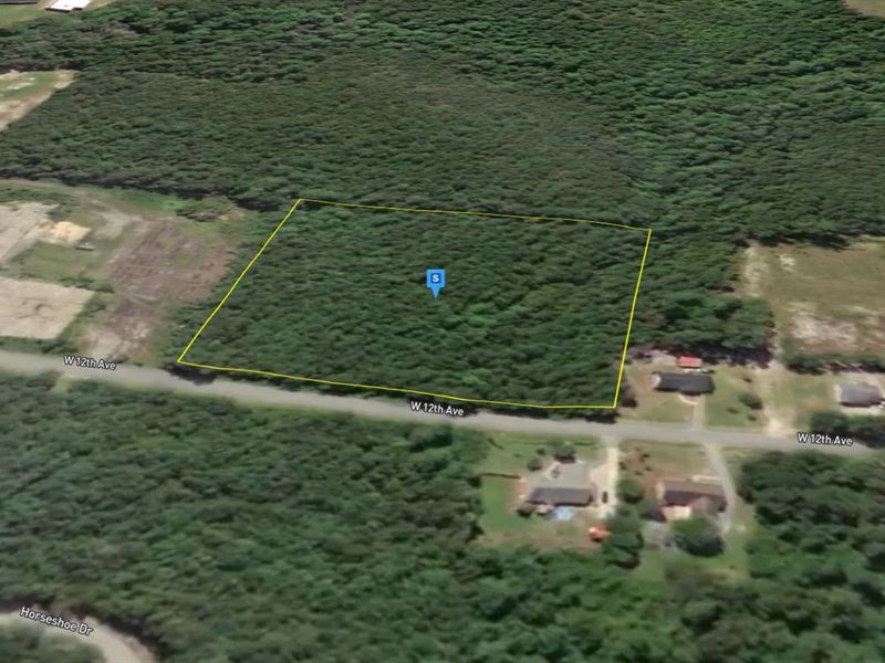 5 Acres in Dillon County SC : Lake View : Dillon County : South Carolina