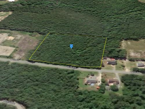 5 Acres in Dillon County SC : Lake View : Dillon County : South Carolina