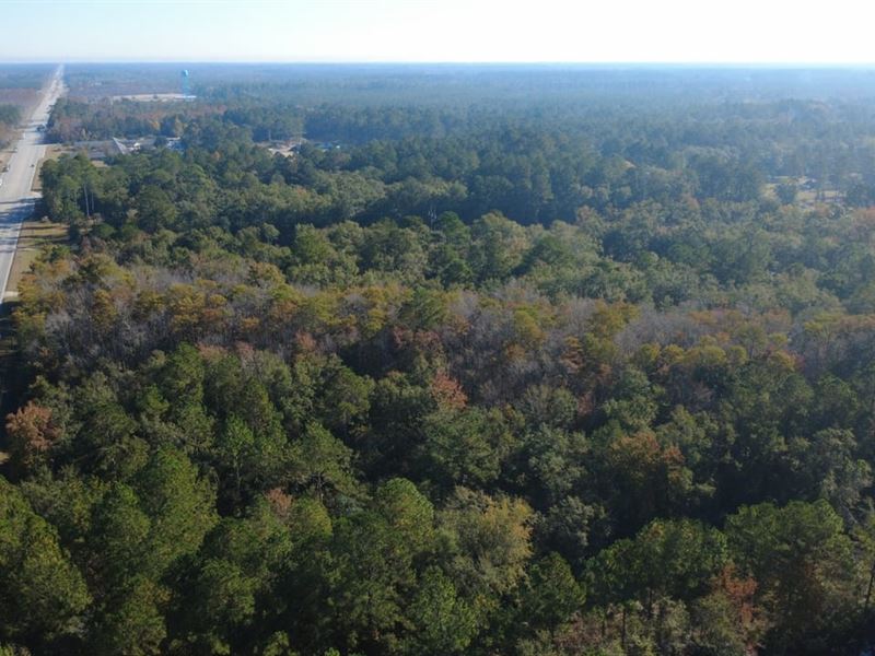 Commercial Opportunity in Ludowici : Ludowici : Long County : Georgia