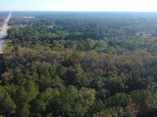 Commercial Opportunity in Ludowici : Ludowici : Long County : Georgia