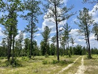 Baldwin Cr-64 Interstate-10 : Robertsdale : Baldwin County : Alabama