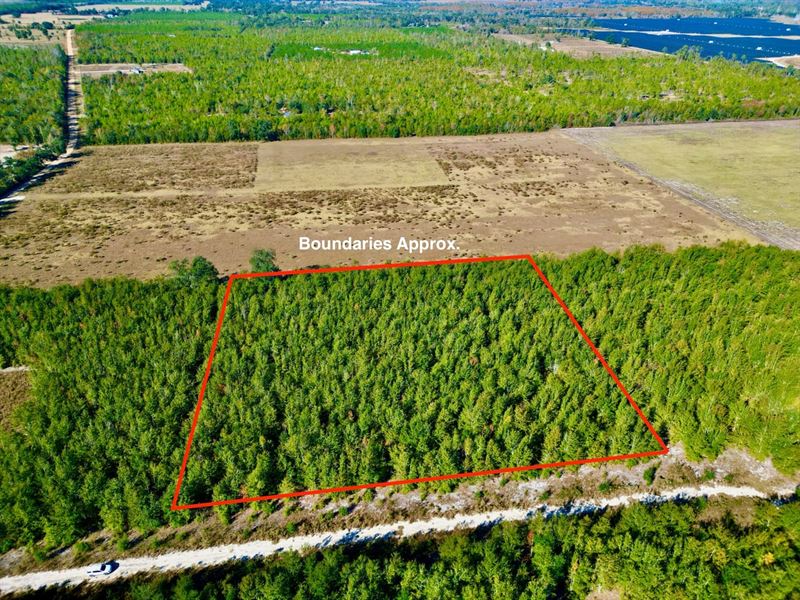 4.32 Ac, Mixed Use : Madison : Madison County : Florida