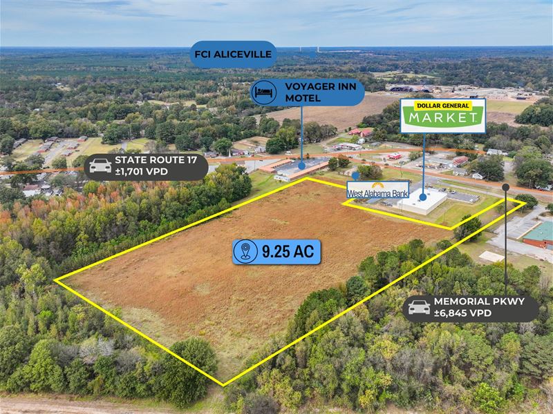Dollar Auction, 9.25 Acre Parcel : Aliceville : Pickens County : Alabama