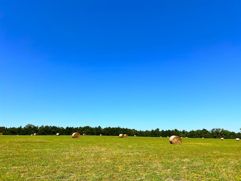 3-057 Hope Hull Transitional Land : Hope Hull : Montgomery County : Alabama