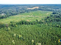 156 Acres in Edgemoor, South Carolina : Edgemoor : Chester County : South Carolina