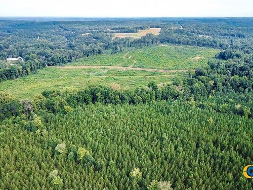 156 Acres in Edgemoor, South Carolina : Edgemoor : Chester County : South Carolina