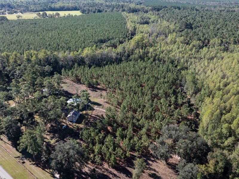 Woodpecker Trail Olive Farm and Rec : Glennville : Tattnall County : Georgia