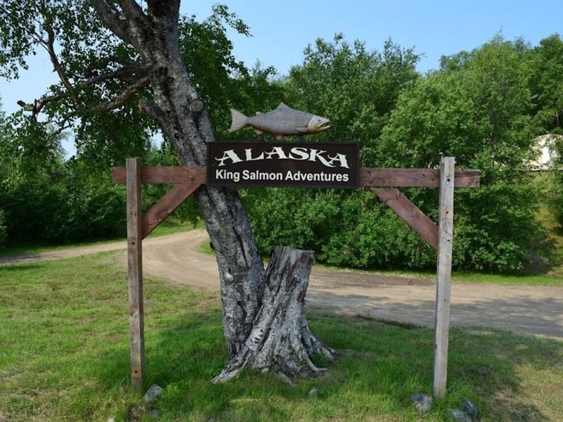 Alaska King Salmon Adventures : Dillingham : Dillingham Borough : Alaska