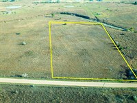 10.5 Acres, Wolchik Road : Sealy : Austin County : Texas