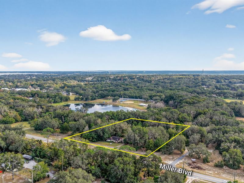 Fruitland Park Development Land : Fruitland Park : Lake County : Florida