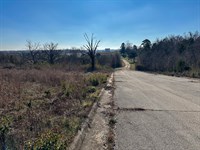 Commercial Lot in Growing Town : West Plains : Howell County : Missouri