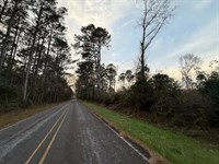 Old Country Store, 1 Acre, Morgan : Foxworth : Marion County : Mississippi