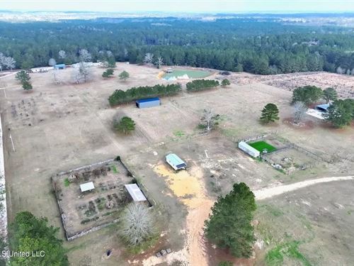 40 Acres Pike County MS Near I-55 : Summit : Pike County : Mississippi