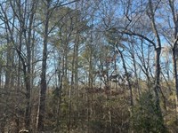 65.61 Acres Rankin County, MS : Pearl : Rankin County : Mississippi