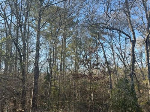 65.61 Acres Rankin County, MS : Pearl : Rankin County : Mississippi