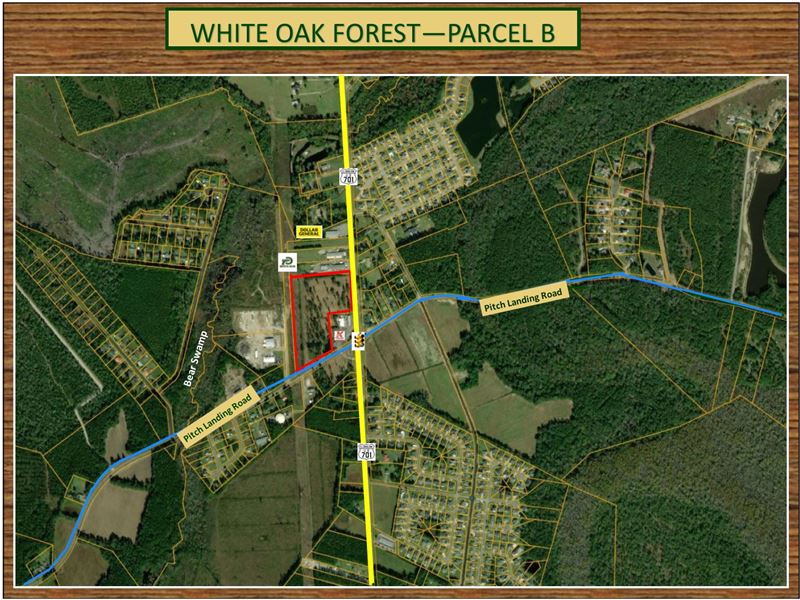 White Oak Forest : Conway : Horry County : South Carolina