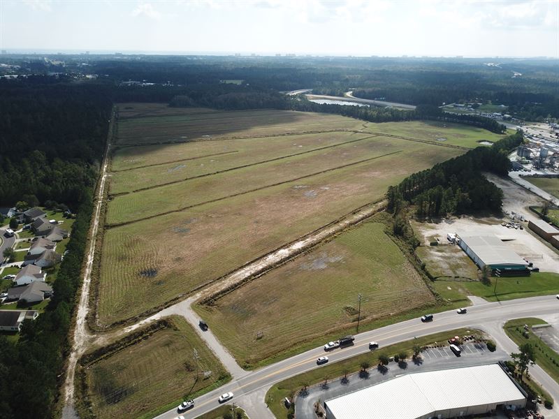 Hankins Tract : Little River : Horry County : South Carolina