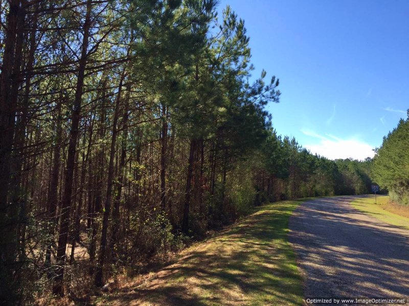 6.5 Ac. Near Interstate Exit : Wesson : Lincoln County : Mississippi